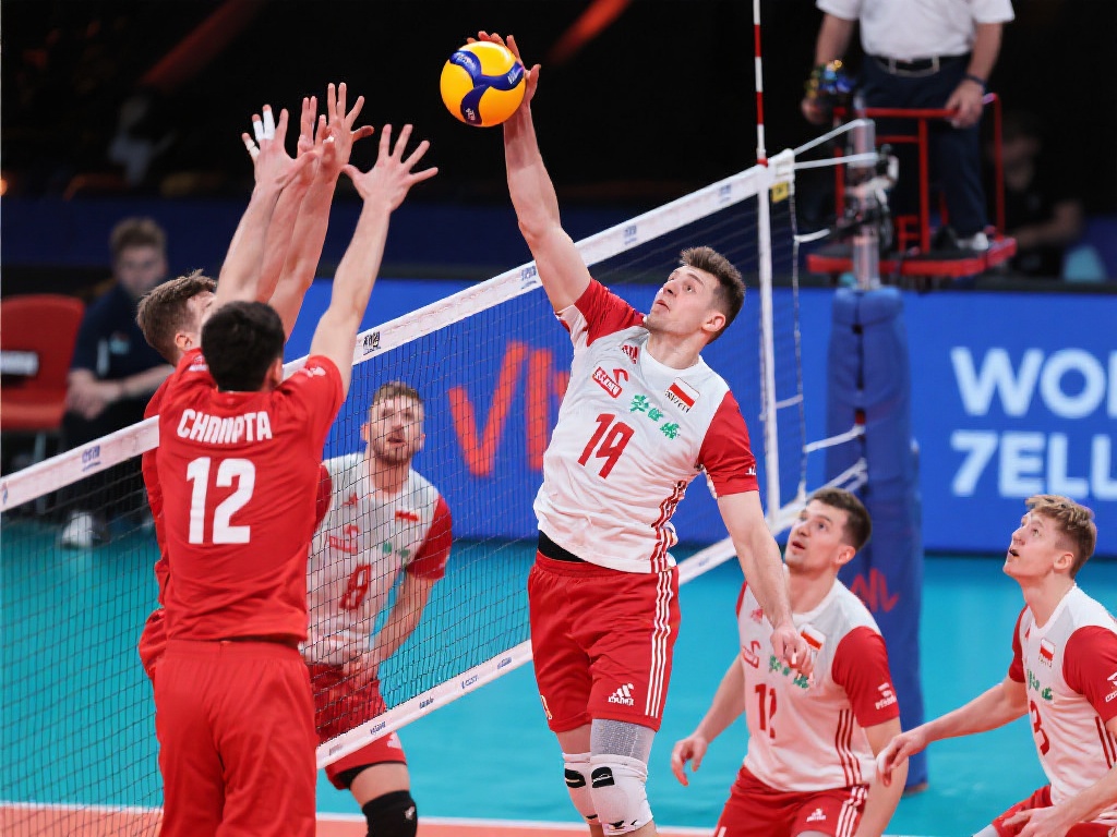 他的战术体 他的战术体